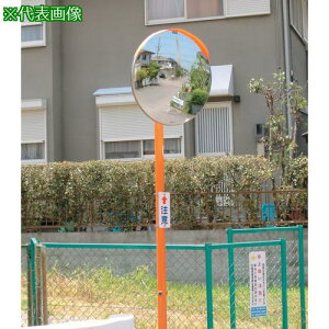 ϐ WX~-uW^v^N 800 xtki:KM800Sly8548147:0z[ʓrς][@lEƏ][][Xs]