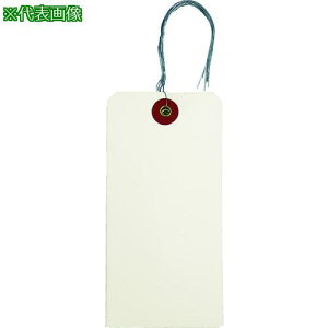 TRUSCO jt׎D(|) 120×60MM 50ki:THNFLY50ly8552583:0z[Xs]