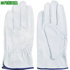 xmO[u ؖ{v(ڂ^Cv) EX-235  Lki:5915ly8555154:0z[Xs]