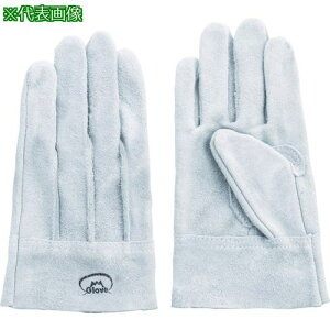 xmO[u #6tW}[N Mki:1607ly8555171:0z[Xs]