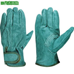 xmO[u v EX-380 O[ Mki:5364ly8555200:0z[Xs]