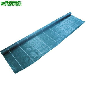 TRUSCO hV[g ό3N 1.0mx50mki:TBO31050ly8558068:0z[Xs]