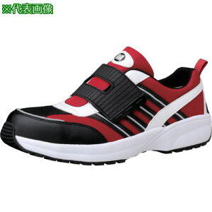 ~hS y SL-605bh 22.5cmki:SL605RD22.5ly8577867:0z[ʓrς][fO][Xs]