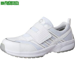 ~hS y SL-605zCg 29cmki:SL605W29.0ly8577894:0z[ʓrς][fO][Xs]