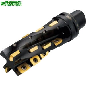 ��SANDVIK �h���[���J�b�^�[(440)�k�i��:R215080C8150L�l�y8580381:0�z[�����ʓr���ς�][�f�O���][�X�����s��]