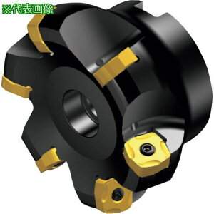 ��SANDVIK �R���~��CoroMill[[R��]]365 ���ʃt���C�X�J�b�^�[(450)�k�i��:R365100Q32S15M�l�y8580402:0�z[�����ʓr���ς�][�f�O���][�X�����s��]
