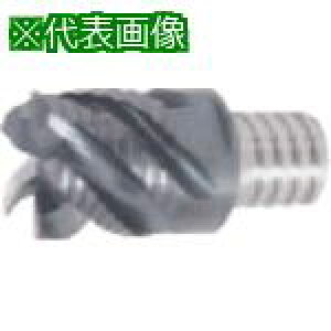 ���^���K���C �^���O�E�}�C�X�^�[�p�w�b�h 4���n �X�N�G�A�^�C�v �g�n�`�� VEE-R AH725�k�i��:VEE250L22.0C50R06S15�l�y8596022:0�z[�����ʓr���ς�][�f�O���][�X�����s��]