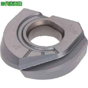 ���^���K���C �{�[���E�t�B�j�b�V���E�m�[�Y �C���T�[�g ZFB-MJ AH710�k�i��:ZFBM250R00MJ�l�y8596063:0�z[�����ʓr���ς�][�f�O���][�X�����s��]