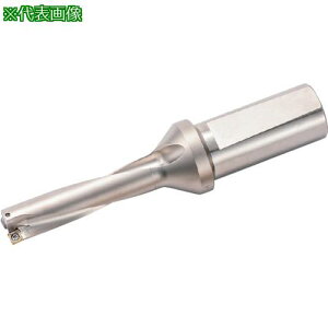 �����Z�� �}�W�b�N�h���� DRV�p�z���_ ���H�[��4×DC�k�i��:S25DRV165M405�l�y8597350:0�z[�����ʓr���ς�][�f�O���][�X�����s��]