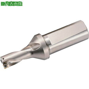 �����Z�� �}�W�b�N�h���� DRV�p�z���_ ���H�[��2×DC�k�i��:S25DRV230M207�l�y8597386:0�z[�X�����s��]