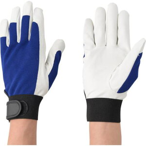 Ag Cgt@C LLs10otki:2009LLly8621463×10:0z[ʓrς][fO][Xs]