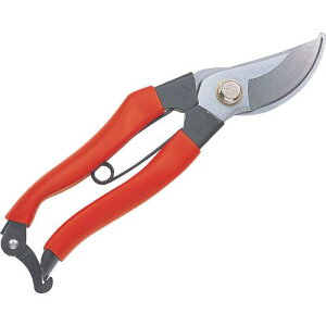 GS  Obv8 200mmki:2246ly8682277:0z[ʓrς][fO][Xs]