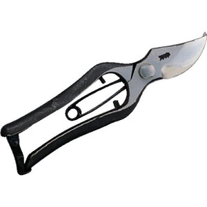 GS  B^(~) 200mmki:2463ly8682304:0z[ʓrς][fO][Xs]