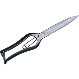 GS Ў芠(~)270mmki:3524ly8682441:0z[ʓrς][fO][Xs]