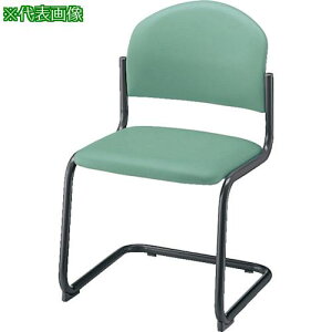 ��NAIKI �p�C�v�`�F�A�[ �z����k�i��:E165FMLGR�l�y8684730:0�z[�����ʓr���ς�][�@�l�E���Ə�����][�f�O���][�X�����s��]