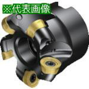 ��SANDVIK �R���~��CoroMill[[R��]]600 �v���t�@�C���t���C�X���H�p�J�b�^�[(440)�k�i��:600066Q2712H�l�y8689380:0�z[�����ʓr���ς�][�f�O���][�X�����s��]