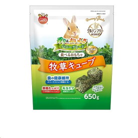 ミニマルランド バニーグレード 牧草キューブ 650g マルカン