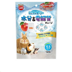 ミニマルランド ミニマルゼリー 水分＆電解質チャージ 12個 マルカン