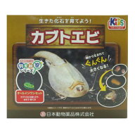 【即納在庫品】 ニチドウ 飼育観察セット カブトエビ