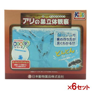 y[݌ɕiz yZbg̔z j`hE ώ@Zbg Ȃ̊ώ@ 11 ×6Zbg