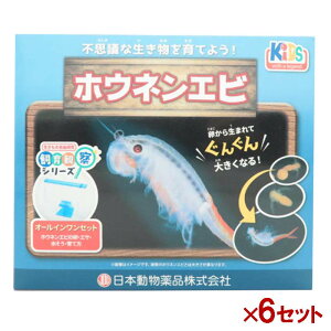 y[݌ɕiz yZbg̔z j`hE ώ@Zbg zElGr11 (×6Zbg)