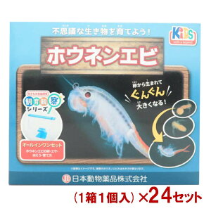 y[݌ɕiz yP[X̔z j`hE ώ@Zbg zElGr (11×24Zbg)