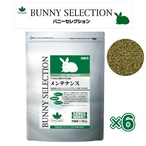 y[݌ɕiz yP[X̔zC[X^[ oj[ZNV eiX 1.5kg 7ȏ̐eETM̎H i11.5kg×6܃Zbgj