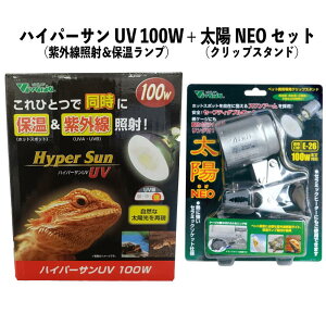 y[݌ɕiz Zbg nCp[T 100W RP-265 + zNEO RP-126V ԊOMq[^[ NbvX^h ঒ roA 
