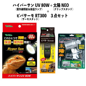 y[݌ɕiz Zbg nCp[T 80W RP-263N + zNEO RP-126V + roT[ RT300 ԊOMq[^[ NbvX^h T[X^bg ঒ roA