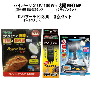 y[݌ɕiz Zbg nCp[T 100W RP-265 + zNEO NP RP-225 + roT[ RT300 ঒ roA