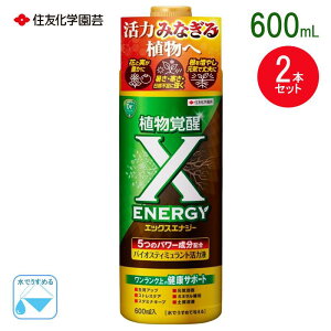 y[݌ɕiz ZFw| X-ENERGY 600ml Ao A ͉t oCIXeB~g GbNXGiW[ XGiW[ YOUTUBE [`[o[