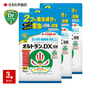 y[݌ɕiz ZFw| IgDX 1kg