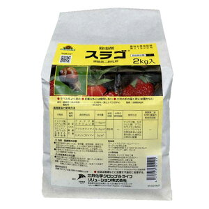 y[݌ɕiz O䉻wNbv&Ct\[V XS 2kg E iNW J^c K[fjO S 쏜 ωJ ɗD 2kg