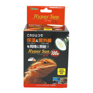 y[݌ɕiz roA nCp[TUV 100W RP-265 oXLOCg