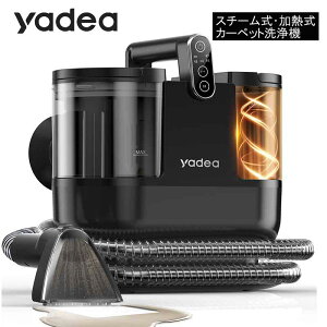 �y���[�݌ɕi�z �C�T�i�r �X�`�[���� ���M�� �J�[�y�b�g���@ LPC-R06S �����T�[�|���@ Yadea R6 Steam