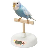 【即納在庫品】 マルカン 小鳥の体重計 1個 小鳥用 最大計量500gまで