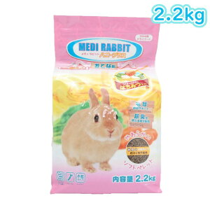 y[݌ɕiz j`hE fBrbg A_g\tg nj[vX 2.2kg ݂͂ ^Cv Ƃ ETMp hCt[h