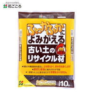 y[݌ɕiz Ԃ ÂỹTCN 10L y ΊD ỹTCN Đ K[fjO ƒ؉