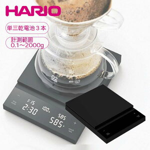 y[݌ɕiz nI R[q[XP[ |X ubN v ͂  v[g Mtg 蕨 CST-2000-B HARIO