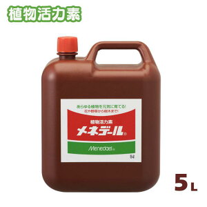 y[݌ɕiz lf[ A͑f ܂E̐At