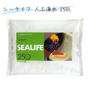 y[݌ɕiz {C V[Ct lHC 250bgp }ebN