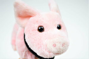 yn[[z n[[_rbh\ ~[WÃu^̂ʂ 798563