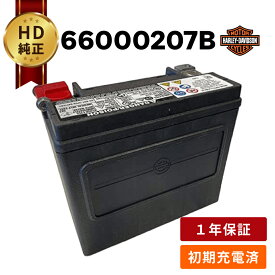 66000207B【ハーレー純正】 H-D AGM標準装備バッテリー ダイナ ソフテイル スポーツスター バイク バッテリー (旧 66000207A　65989-97D ) ハーレーダビッドソン