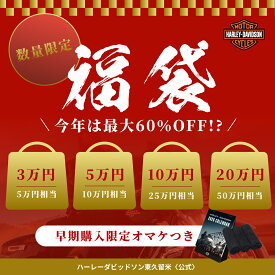 ＼ 最大60％お得 ／ メンズ ハーレーダビッドソン 2026新春福袋 おまけつき 福袋 ギフト 先行予約 送料無料 新年