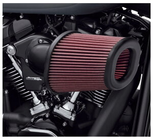 yn[[z SCREAMINf EAGLE wr[u[U[ GNXg[ GAN[i[Lbg 29400387 #10110