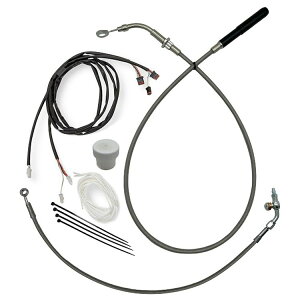 2021`2023 [hOChA[hOCh~ebh 18C`nhp C[W[CXg[Lbg (XeX) t@bgoK[