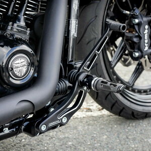 M8 ���[���C�_�[/S/ST�A�X�g���[�g�{�u�A�X�^���_�[�h �t�@���g���E�t�H���[�h�R���g���[���L�b�g (�R���g���X�g�J���[) �T���_�[�o�C�N