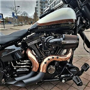 n[[ EVO/TC \teCA_CiAc[OAgCN JbgobN tGL][Xg}t[ (ubN/Rbp[) u[ptH[}XGL][Xg