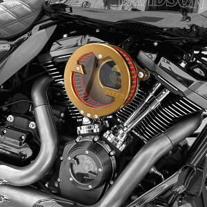 n[[ cCJ dqXbgp Massive GAN[i[ S[h reBYfUC