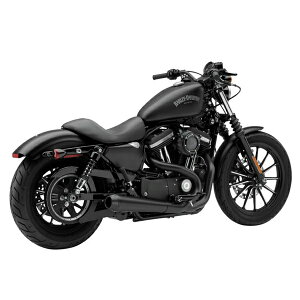 COBRA �G�� �f�B�A�u�� 2INTO1 �t���G�L�]�[�X�g�}�t���[ 4�C���`�@�u���b�N